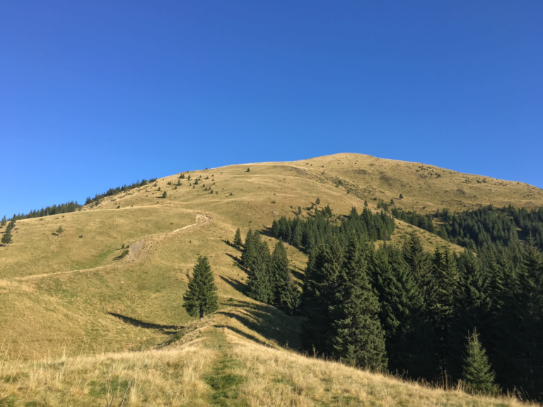 TURISM SPORTIV – Redescoperă Munții Baiului alături de Ștafeta Munților