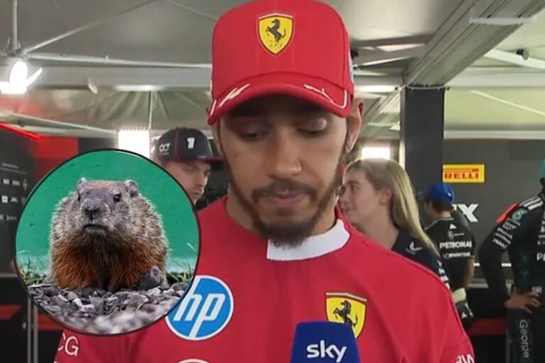 Hamilton devastat după ce a lovit o marmotă în Canada: “Iubesc animalele, e oribil”